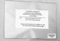 Bagliettoa calciseda image